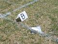 WM06-Bild78